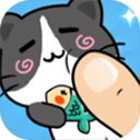 10西北婚庆服务APP