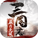 神殿守护者无敌版截图1